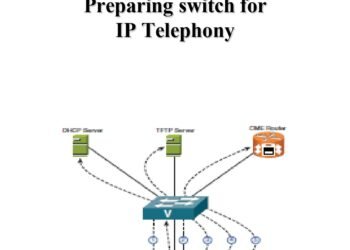 Summary Of Preparing switch for IP Telephony PDF